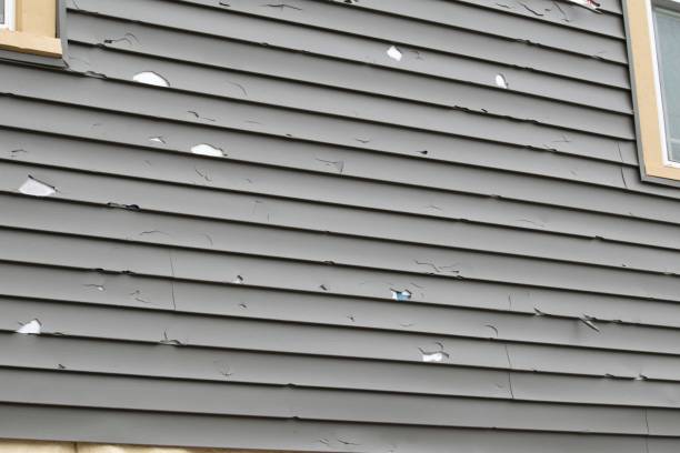 Best Recycling Services for Junk  in Monroe, NC